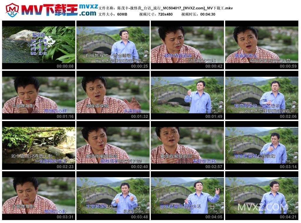 陈茂丰-拢怪我_台语_流行_MC504017